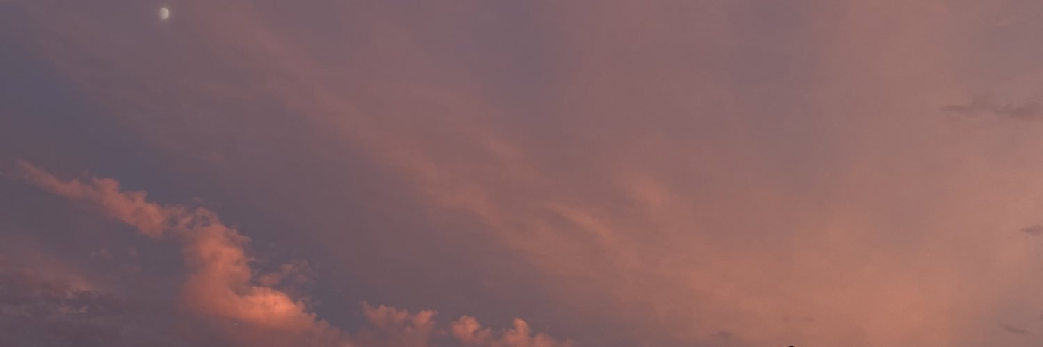 JanessaBadillo's profile banner image