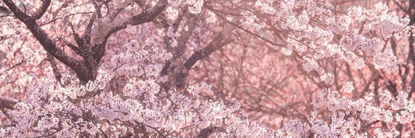 ManuelGKizer Profile Banner