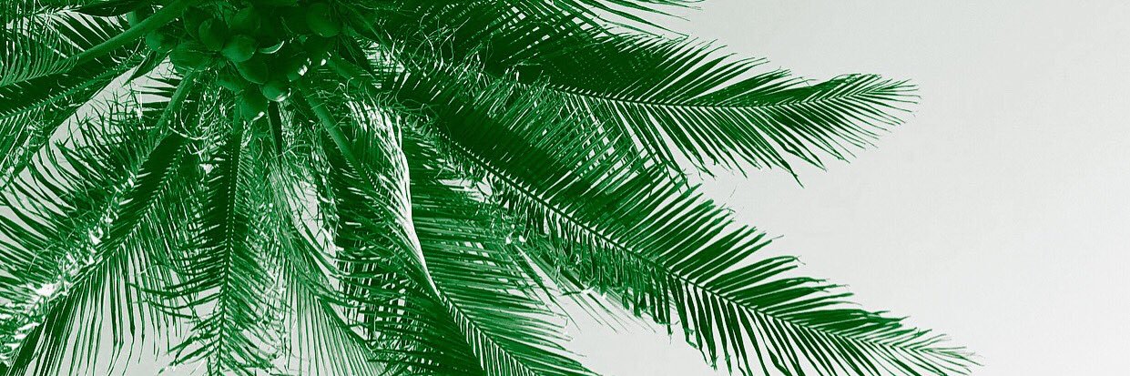 jarhhraj's profile banner image
