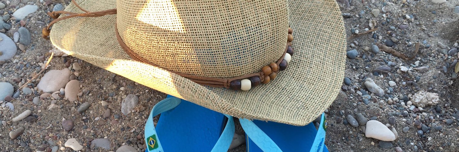 Janice 🚴‍♀️🦢😎🇬🇧 banner