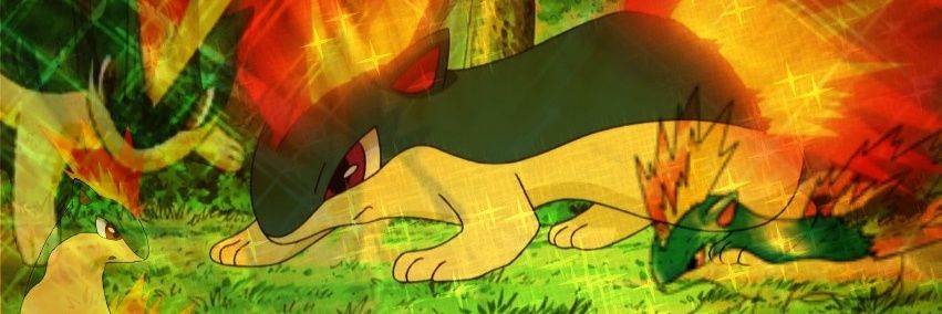 QuilavaAlien's profile banner image