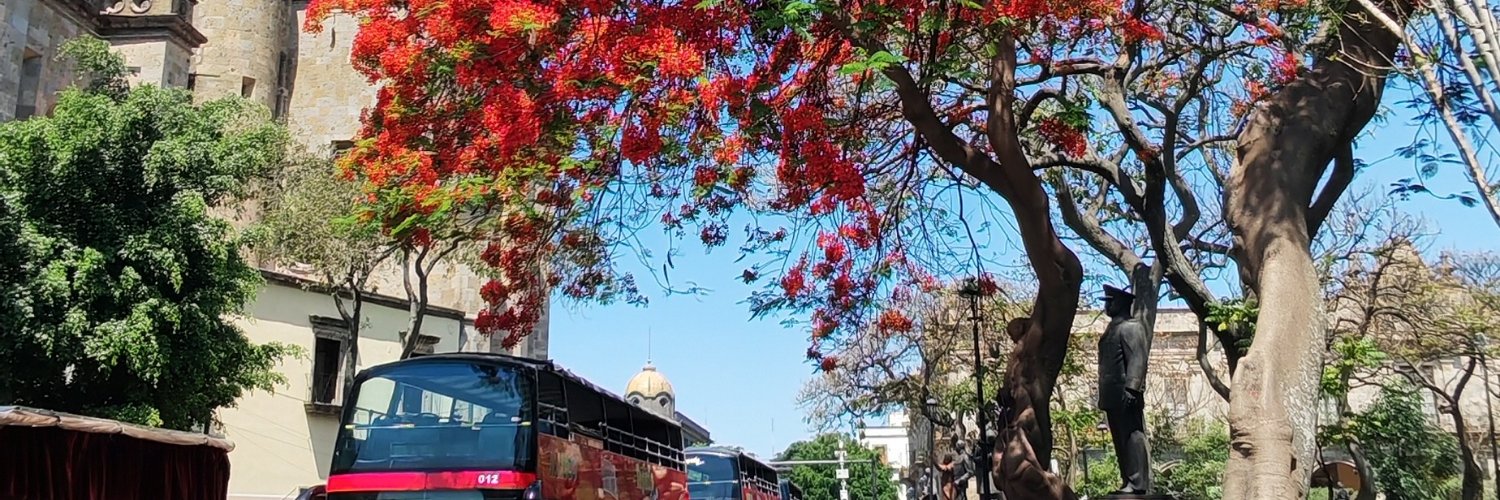 RikSope's profile banner image