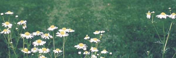 steph_estrera Profile Banner