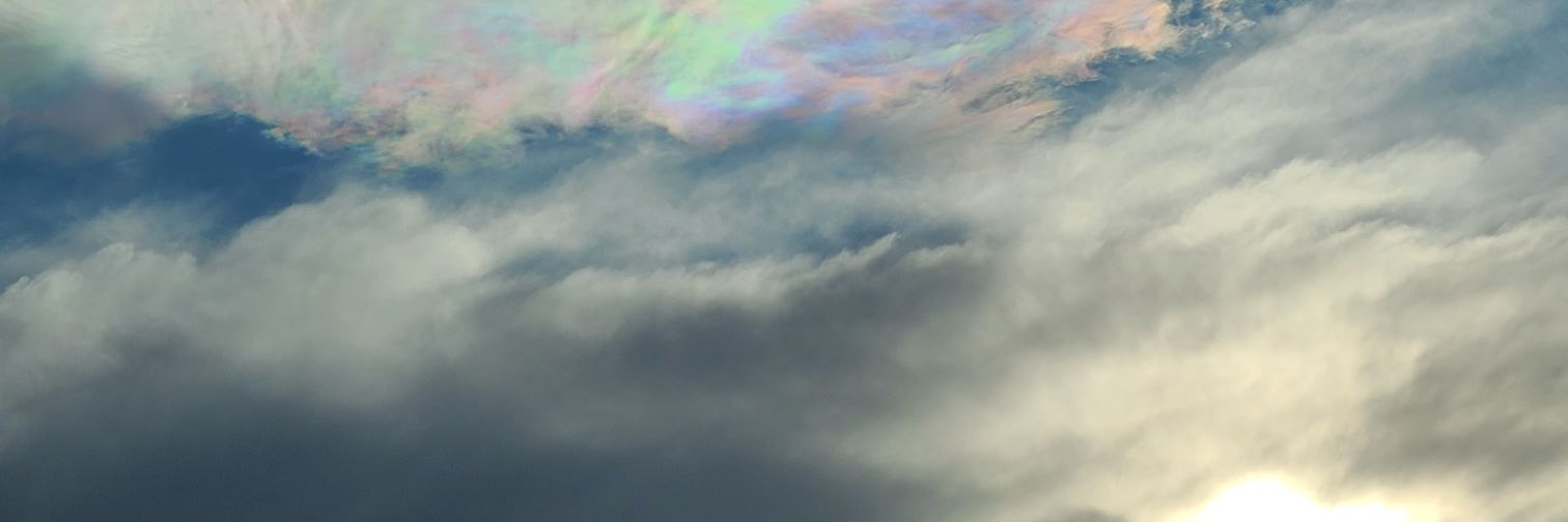 The Problem Child banner