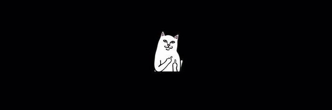 kittensugaa's profile banner image