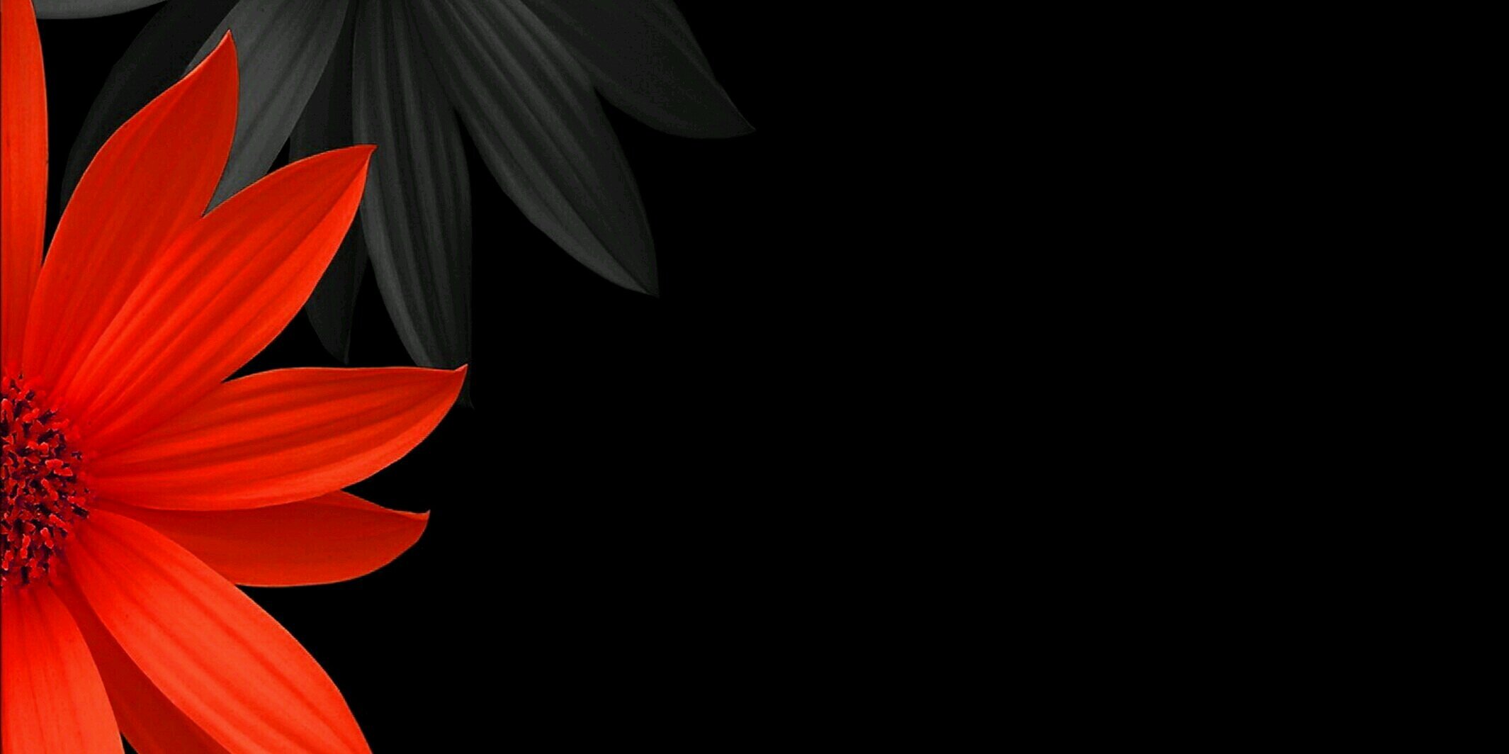 mir_evans's profile banner image