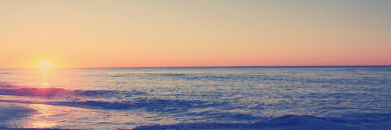 winnybracho's profile banner image