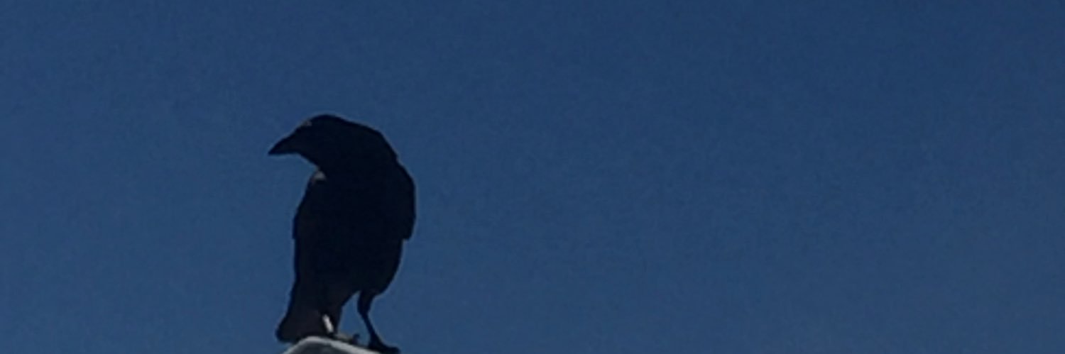 DaughterDicker's profile banner image