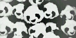 MishaBotha's profile banner image