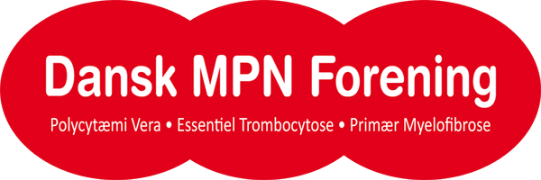 DanishMPN Profile Banner