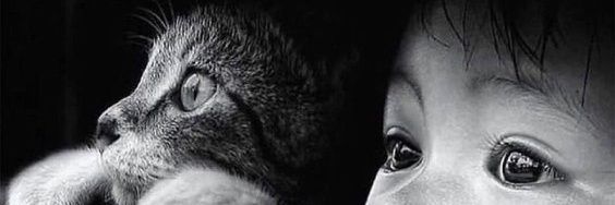 RoniDavid76's profile banner image