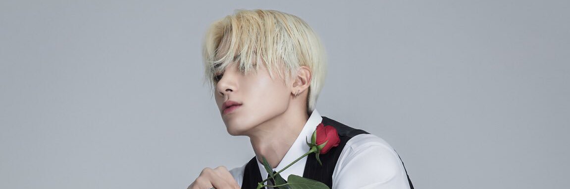 Shuboo17's profile banner image