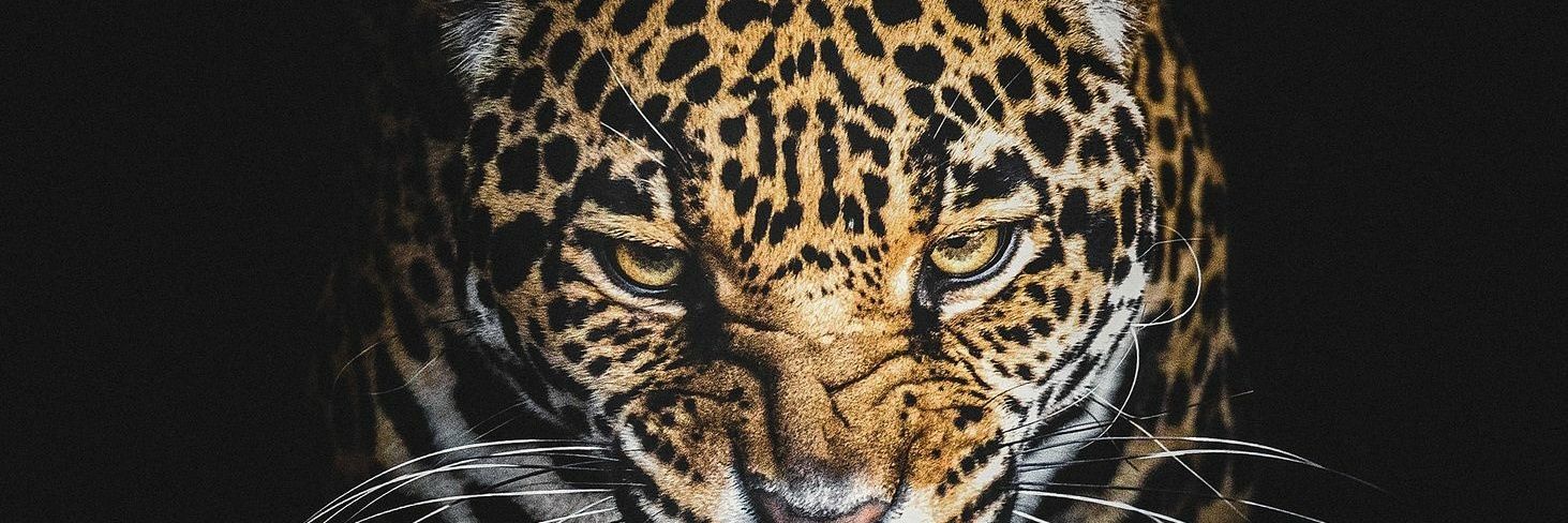 RaymondMach3's profile banner image