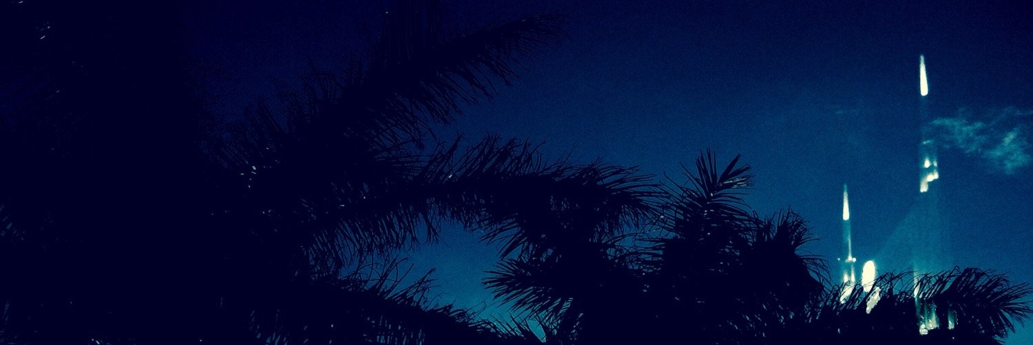 palmtreegalaxy's profile banner image