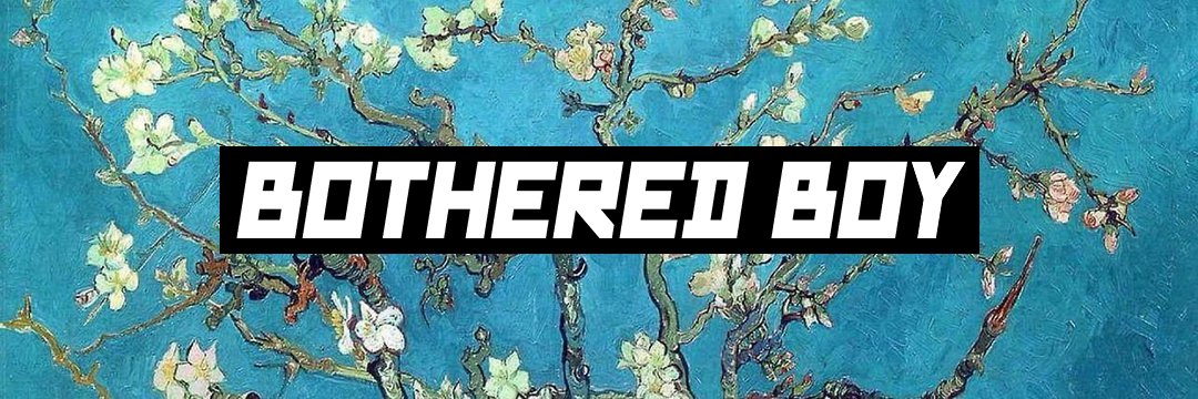 Bothered Boy🏴🚩Back on my Bullsh*t's banner