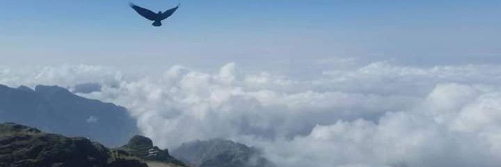 bbc00011's profile banner image