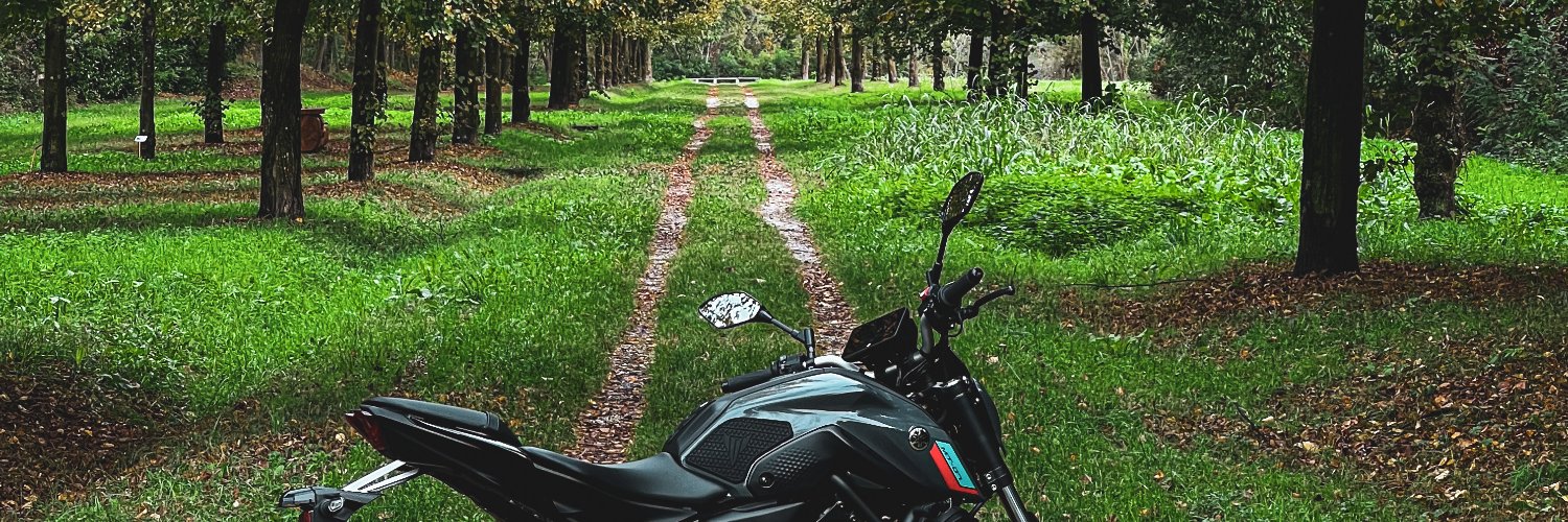 Cubondo's profile banner image