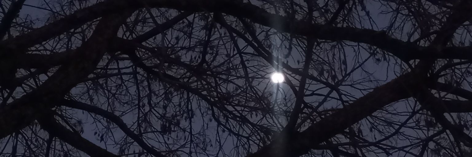 imcami8's profile banner image