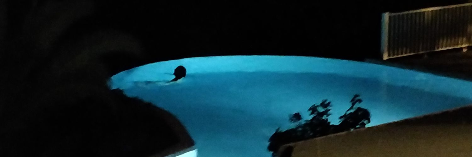 vibronicgoose's profile banner image
