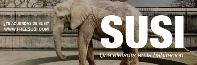 LIBERA! - Asociación Animalista banner