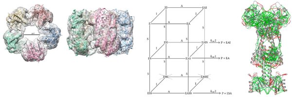 LisandroHOtero1 Profile Banner