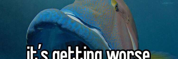 Not Croctimus Prime banner