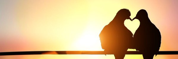ADDrelationship Profile Banner