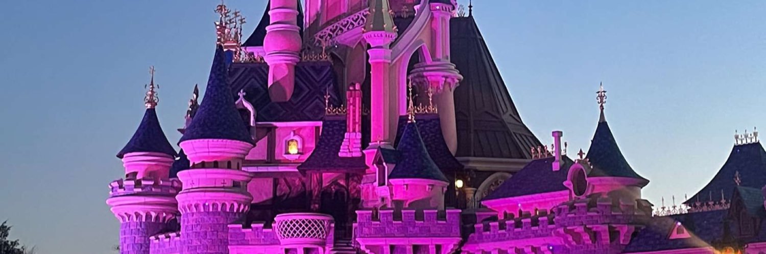 feesabia's profile banner image