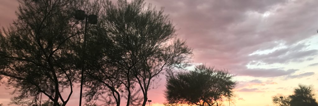 SaraBauer01's profile banner image