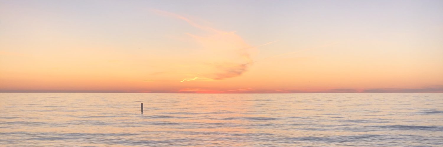 cece mitchell banner