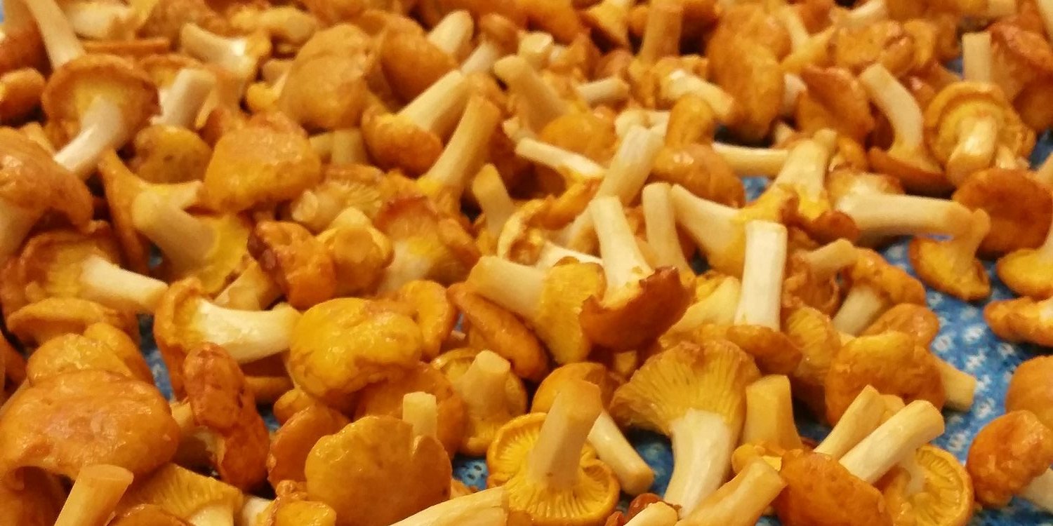 Patrick Powell banner