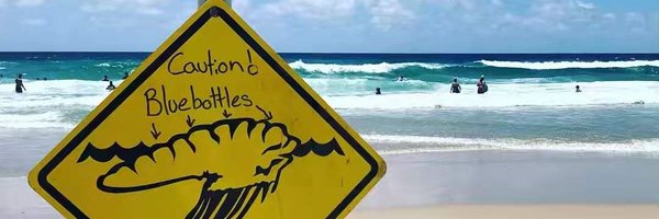 donsbot Profile Banner