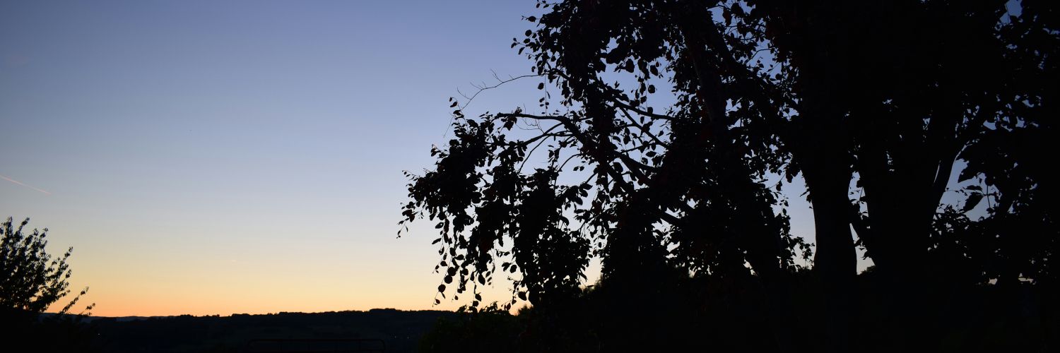 EmilieChappaz's profile banner image