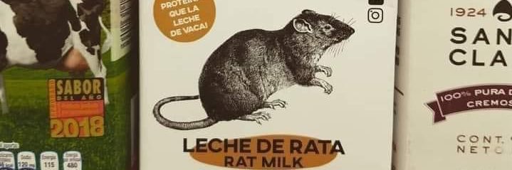 ErikRatboy🐀 banner