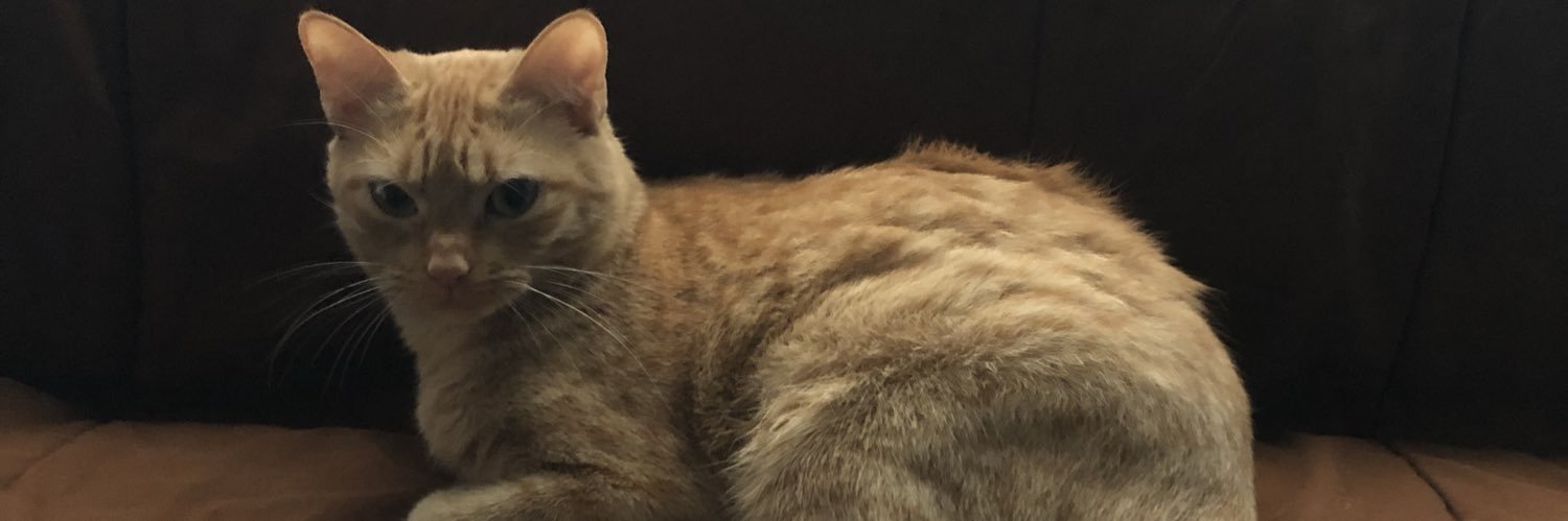 0milll's profile banner image