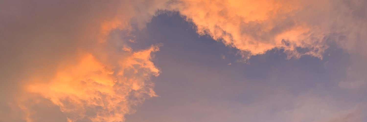 mlhewitt16's profile banner image