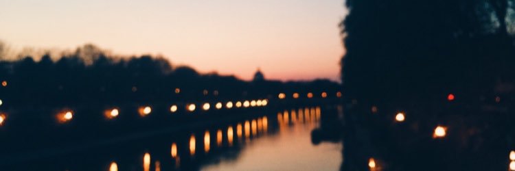 AngelalaNigro's profile banner image