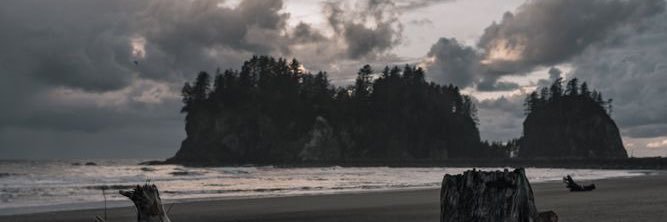 OhDearestBunny's profile banner image