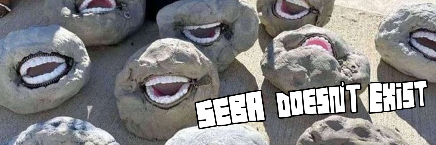 SEBA banner