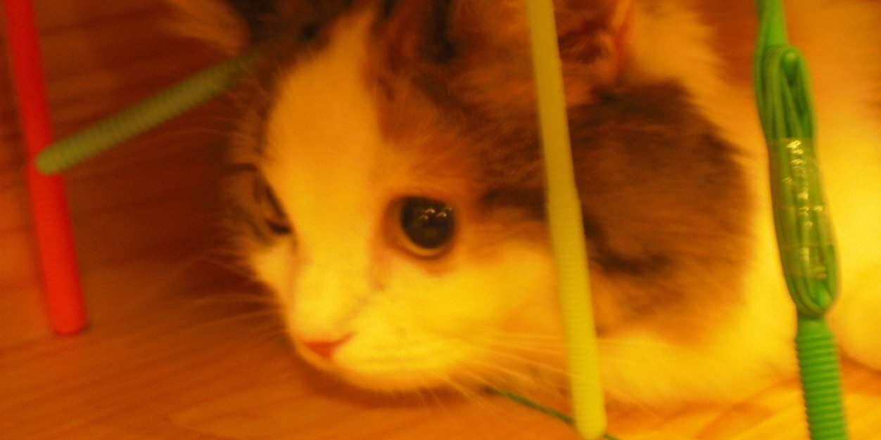 みあ banner