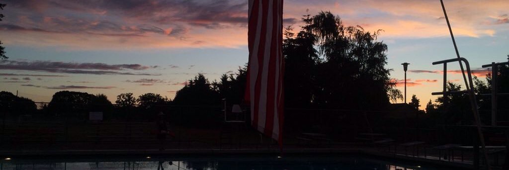 LifeguardBitchy's profile banner image