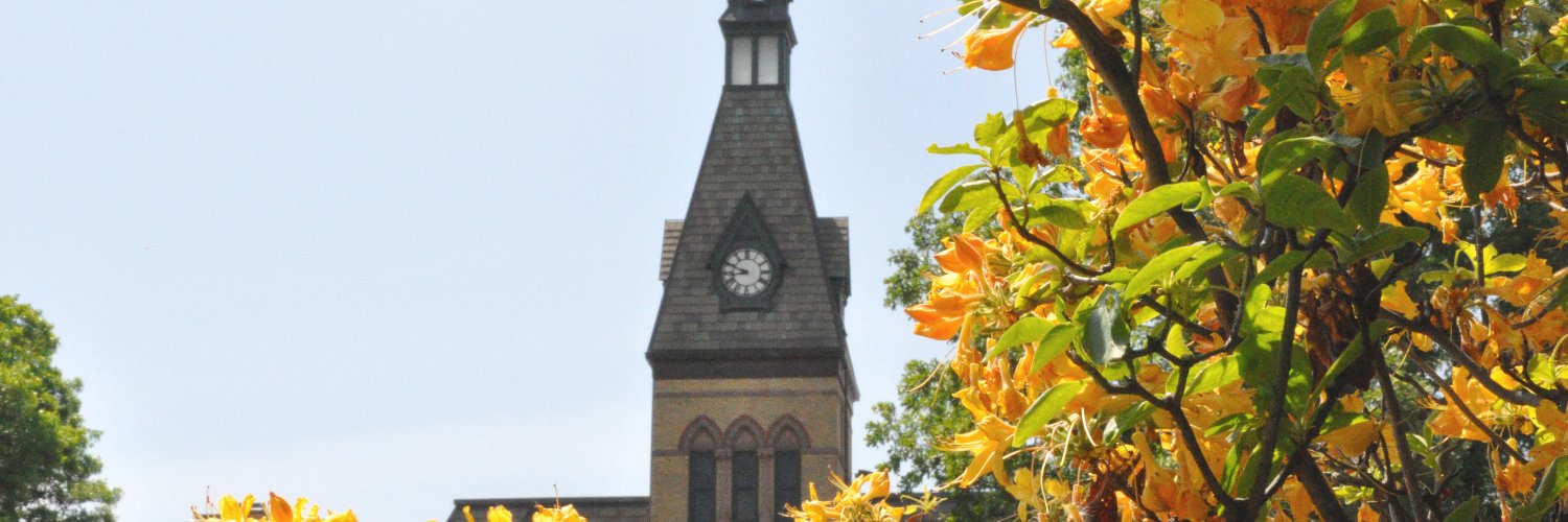 HamlineAlumni's profile banner image