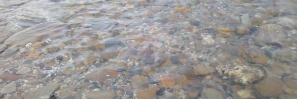 ToddADanielson Profile Banner