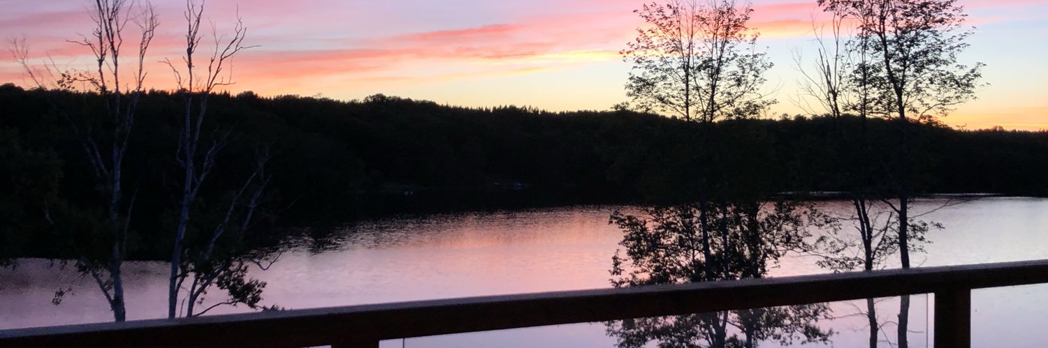 CarisWatson's profile banner image