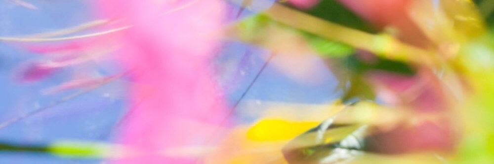 男娘柚子北京 banner