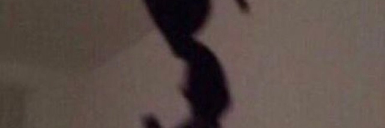 SMDSloppy's profile banner image