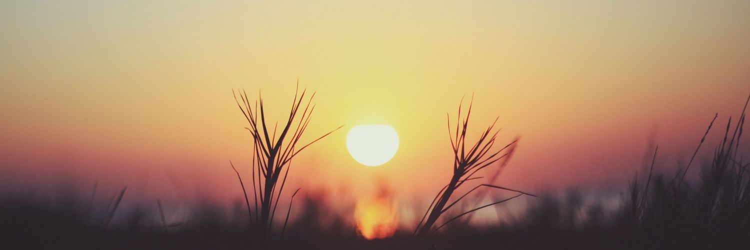 robertoxm's profile banner image