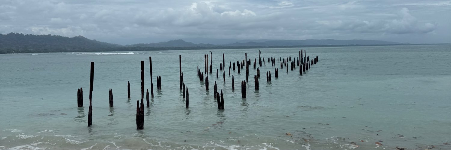 Alexandra Bellayer-Roille banner