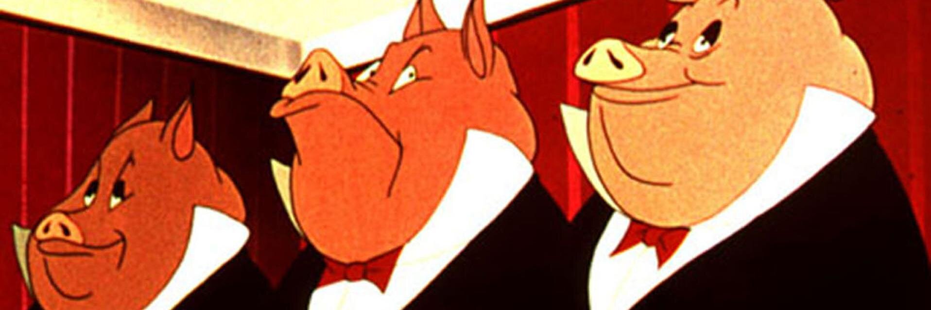 Dave Van Meel banner