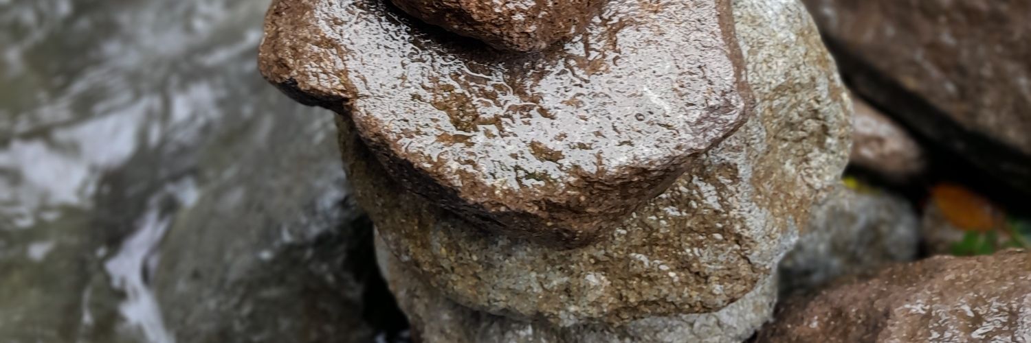 we banner